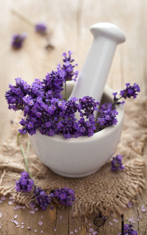 fresh lavender in mortar